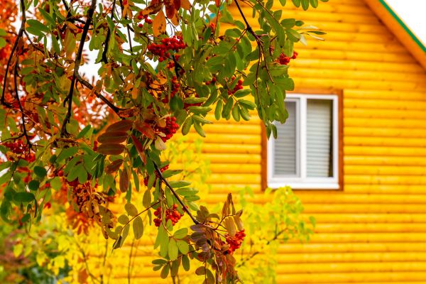 Garden Window Replacement in Sanford